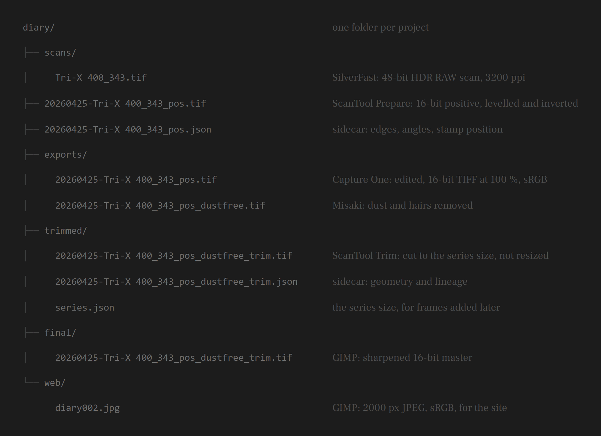 A file tree for one project folder, with a note beside each file: the raw scan in scans, the positive and its JSON sidecar, the Capture One export and its dust-free copy in exports, the trimmed file, its sidecar and series.json in trimmed, the sharpened master in final, and the 2000 px JPEG in web.